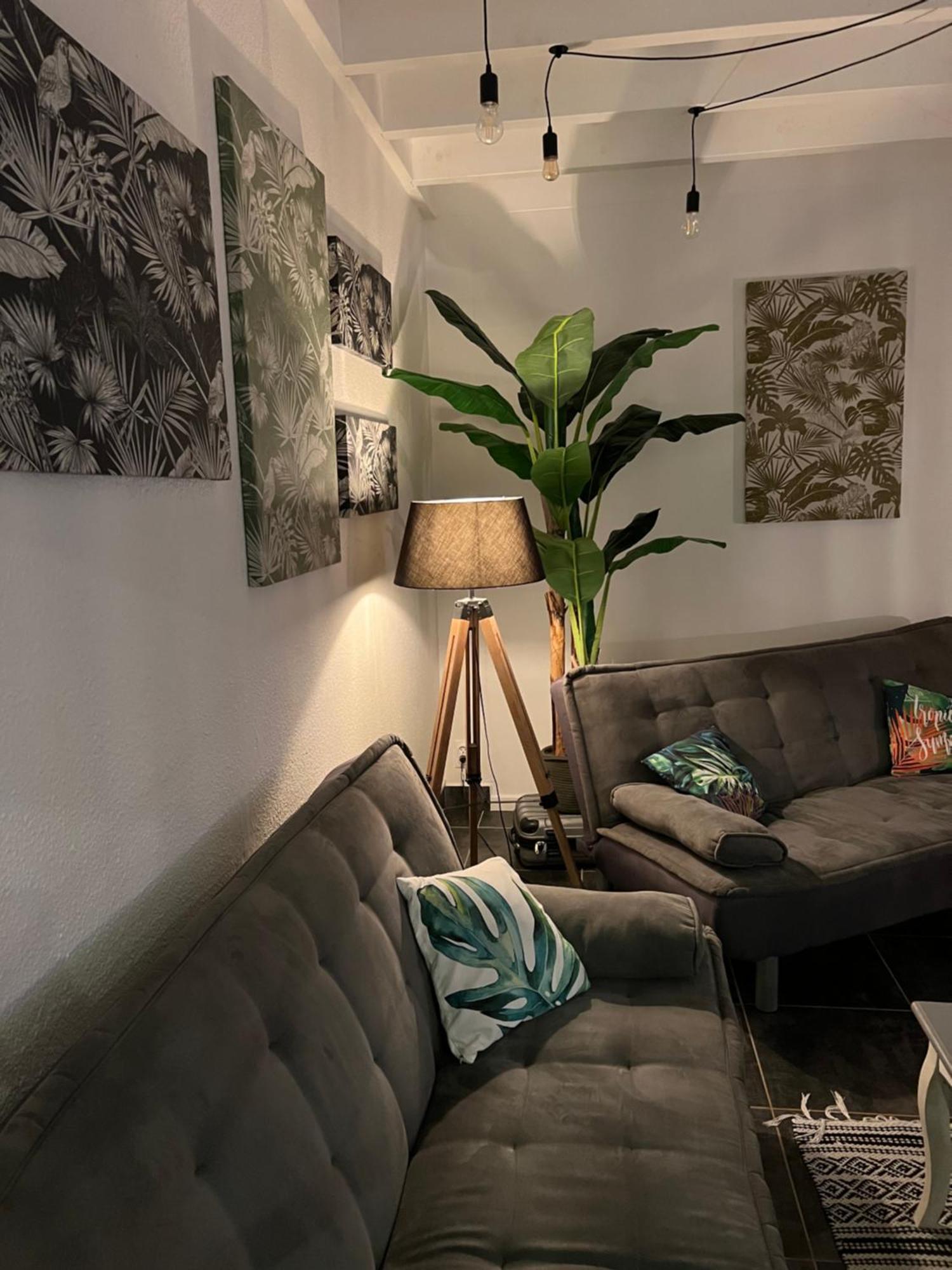 Appartement Spacieux Au Village Du Flamboyant Baie Nettle Eksteriør billede